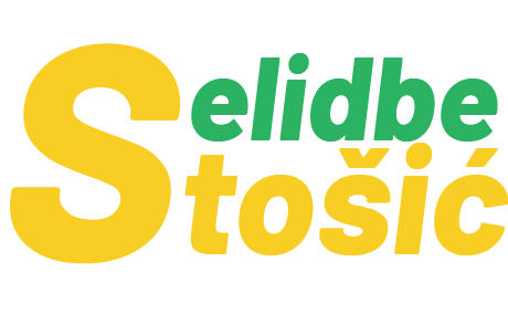 Izrada sajta Selidbe Stošić